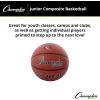 Champion Sports Composite Game Basketballs(Junior (Size 5 – 27.5″))