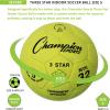 Champion Sports 3 Star Indoor Official Size 5 Soccer Ball with Custom Suede Cover