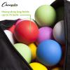 Champion Sports Lacrosse Ball Bag: Nylon Sports Training Tote for Lacrosse, Baseball and Tennis,Gray/Black