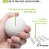 Champion Sports Practice Sponge Lacrosse Balls: Soft Touch for Indoor Outdoor Training & Practice – 12 Pack White(12 Count (Pack of 1))