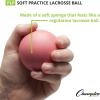Champion Sports Sponge Lacrosse Balls: Soft Touch for Professional, College and Grade School Indoor Outdoor Training and Practice – 12 Pack, Pink-Sponge(Pack of 12)