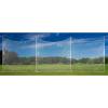 Champion Sports Lacrosse Backstop Net: Ball Barrier for Professional, College and Grade School Training, Practice and Drills – Field Organizer for Stray Balls,White