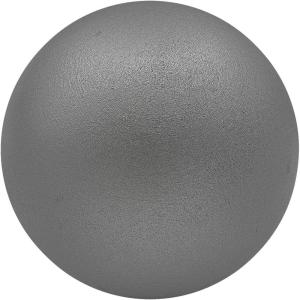 Champion Sports Iron Shot Put – Durable Track & Field Training Shot, Multiple Weights for Youth, HS & Collegiate Athletes(Iron Shot Put (6 Lb))