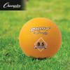 Champion Sports Rhino Playground Balls(8.5″ Heavy Duty Yellow (Single))