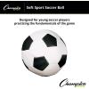Champion Sports 8 Inch Soft Sport Soccer Ball(7″)