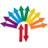 Champion Sports Poly Directional Arrow Set