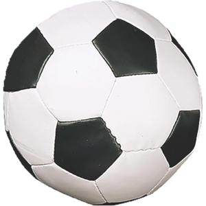 Champion Sports 8 Inch Soft Sport Soccer Ball(7″)