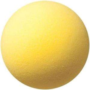 Champion Sports Uncoated Regular Density Foam Ball (7-Inch)(7-Inch)