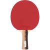 Champion Sports PN14 Table Tennis Paddle, Black