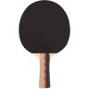 Champion Sports PN14 Table Tennis Paddle, Black