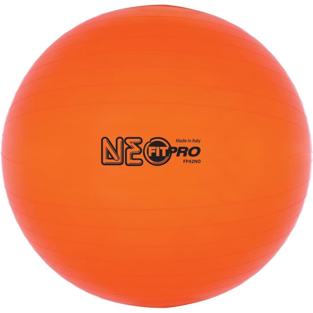 image:imageChampion Sports Fitpro BRT Training amp Exercise BallNeon Orange