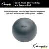 Champion Sports 65CM FITPRO BRT Training & Exercise Ball