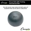 Champion Sports 65CM FITPRO BRT Training & Exercise Ball