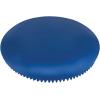 Champion Sports Exercise Disc
