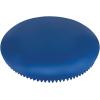 Champion Sports Exercise Disc