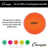 Champion Sports Exercise, Stability, Balance Ball, 42 cm, Green – Premium Quality, Pop-Resistant Gym Medicine Balls for Strength and Core Training, Rehab, Workout, Pilates, Pregnancy, Stretching