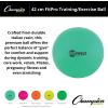 Champion Sports Exercise, Stability, Balance Ball, 42 cm, Green – Premium Quality, Pop-Resistant Gym Medicine Balls for Strength and Core Training, Rehab, Workout, Pilates, Pregnancy, Stretching
