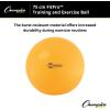 Champion Sports Exercise, Stability, Balance Ball, 75 cm, Yellow – Premium Quality, Pop-Resistant Gym Medicine Balls for Strength and Core Training, Rehab, Workout, Pilates, Pregnancy, Stretching