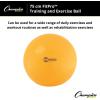 Champion Sports Exercise, Stability, Balance Ball, 75 cm, Yellow – Premium Quality, Pop-Resistant Gym Medicine Balls for Strength and Core Training, Rehab, Workout, Pilates, Pregnancy, Stretching