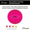 Champion Sports FitPro BRT 42cm Exercise Ball(Red)
