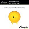 Champion Sports FitPro & Maxafe® Sitsolution Stability Balls – Balance, Core, & Strength Exercise Ball for Home, Gym, or Office Workouts – Durable, Burst-Resistant Fitness Ball(Yellow)