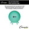 Champion Sports FitPro & Maxafe® Sitsolution Stability Balls – Balance, Core, & Strength Exercise Ball for Home, Gym, or Office Workouts – Durable, Burst-Resistant Fitness Ball(Green)
