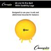 Champion Sports FitPro & Maxafe® Sitsolution Stability Balls – Balance, Core, & Strength Exercise Ball for Home, Gym, or Office Workouts – Durable, Burst-Resistant Fitness Ball(Yellow)