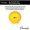 Champion Sports FitPro & Maxafe® Sitsolution Stability Balls – Balance, Core, & Strength Exercise Ball for Home, Gym, or Office Workouts – Durable, Burst-Resistant Fitness Ball(Yellow)