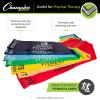 Champion Sports Resistance Therapy Stretch Flat Band(Green)