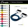 Champion Sports Resistance Tube Bands for Men and Women, 10 lbs – 100 lbs Resistance – Durable Stretch Fitness Band for Strength Training, Stretching, Rehabilitation – Premium Home Workout Equipment(YELLOW)