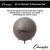 Champion Sports Stability Ball(Grey)