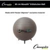 Champion Sports Stability Ball(Grey)
