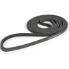 Champion Sports Stretch Training Bands – Resistance Bands for Strength, Stretching & Rehab Exercises(GRAY)
