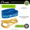 Champion Sports Stretch Training Bands – Resistance Bands for Strength, Stretching & Rehab Exercises(GRAY)