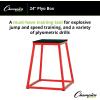 Champion Sports Welded Steel Plyo Box – 24″ H