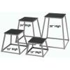 Champion Sports Welded Steel Plyo Box – 6″H