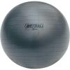 Champion Sports 65CM FITPRO BRT Training & Exercise Ball