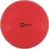 Champion Sports FitPro BRT 42cm Exercise Ball(Red)