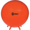 Champion Sports FitPro & Maxafe® Sitsolution Stability Balls – Balance, Core, & Strength Exercise Ball for Home, Gym, or Office Workouts – Durable, Burst-Resistant Fitness Ball(Red)