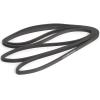 Champion Sports Stretch Training Bands – Resistance Bands for Strength, Stretching & Rehab Exercises(GRAY)