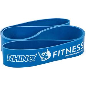 Champion Sports Stretch Training Bands – Resistance Bands for Strength, Stretching & Rehab Exercises(BLUE)