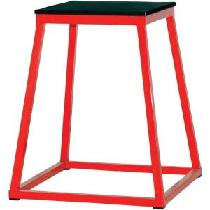 Champion Sports Welded Steel Plyo Box – 24″ H